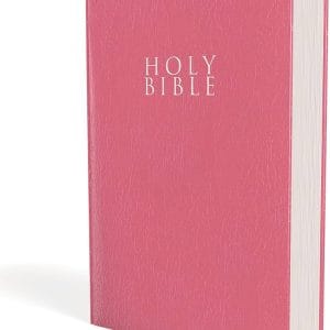Bibles - NIV Holy Bible Pink Big