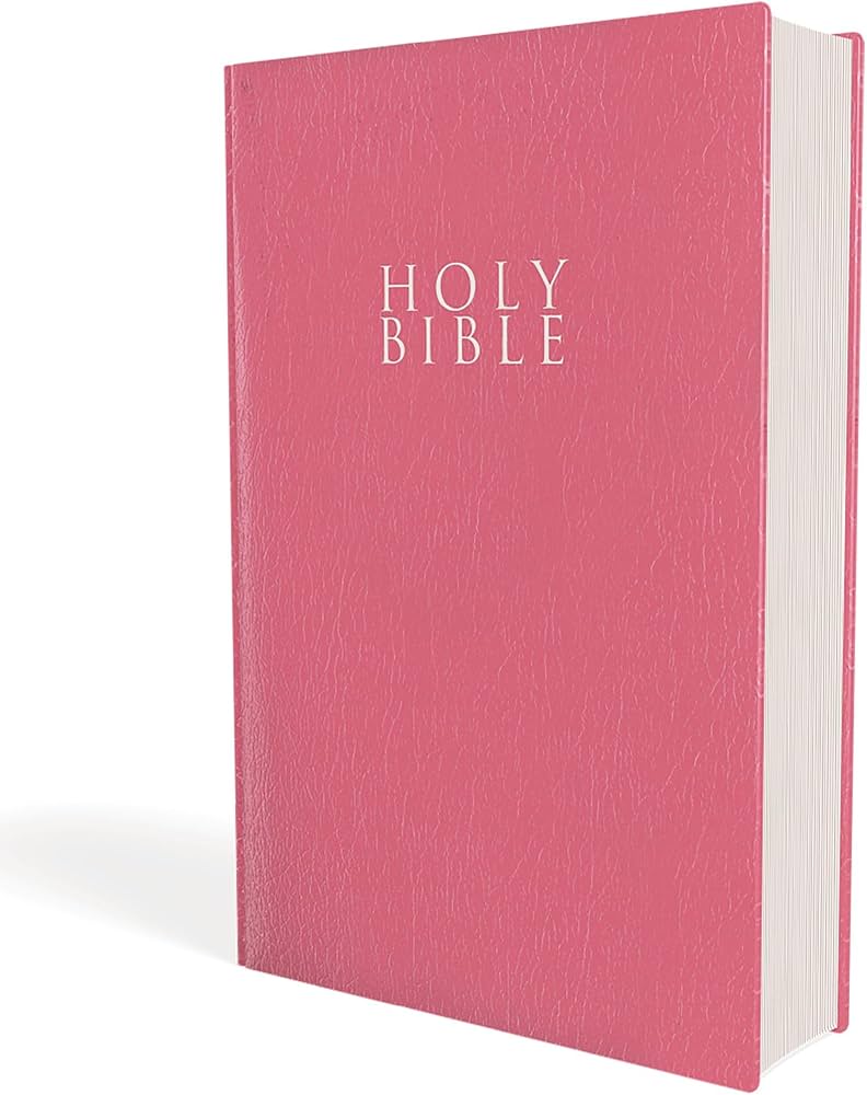 Bibles - NIV Holy Bible Pink Big