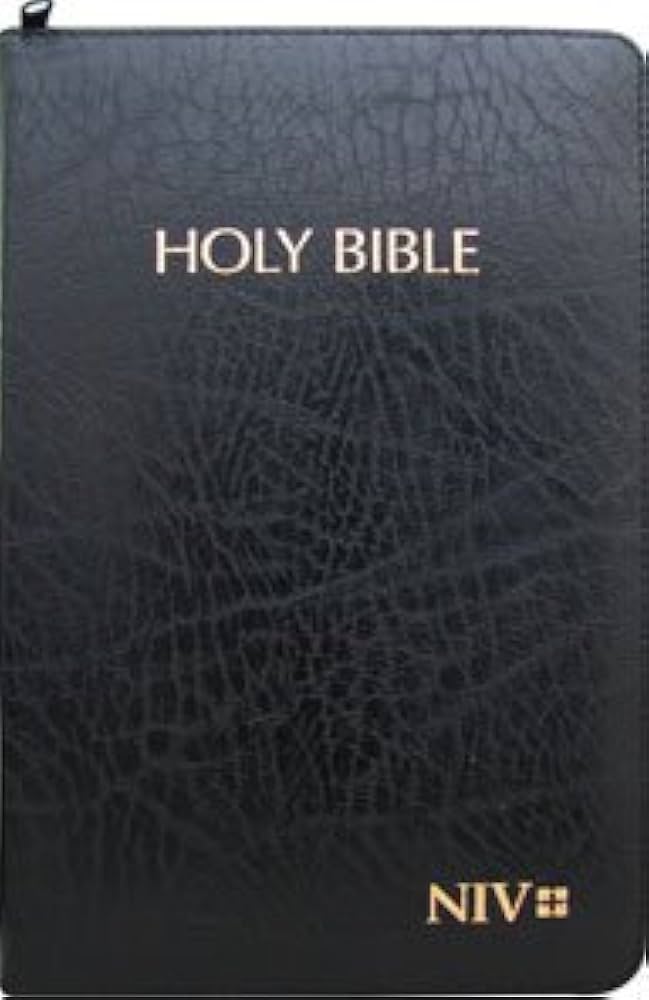 BA Bibles - Holy Bible NIV Black With a Zip